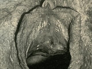 Dark Starlight Entertainment, Gizli Hayatımdan 'Vintage Closeups' sunuyor, Victoria İngiliz beyefendisinin erotik itirafları
