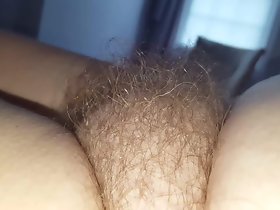 expondo sua manhã cedo arbusto peludo cansado plain vanilla