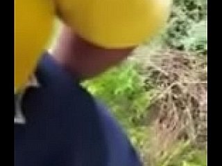 Der Anker duel trocken im Feld