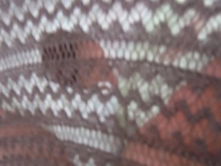 DSCF6124[1]