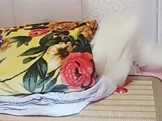 Die beste Schlampe, Krankenschwester, X Badezimmer, feuchte Versuchung