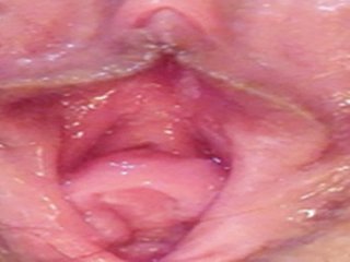 College Titillating loving Coddle  play ourselves
