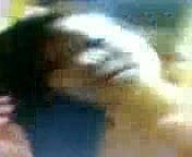 Coddle CINA