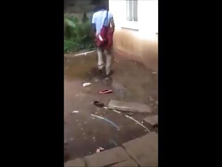 horoz hayran Afrikalı kadınlar