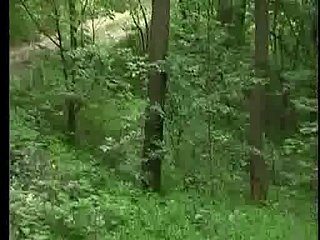 Jebacina NA Avali 세르비아어 - 계좌 개설 데모 계좌 개설 지원 부서으로 KRMANJONAC