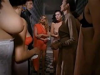틴토 브라스에 의해 파프리카 (1991)