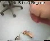 pakistani Zahnarzt 7