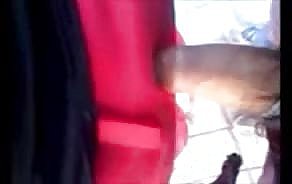 porno ویڈیوز بس اسٹاپ