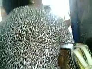 バスの中で美味しいお尻おばあちゃん熟女をタッチして1